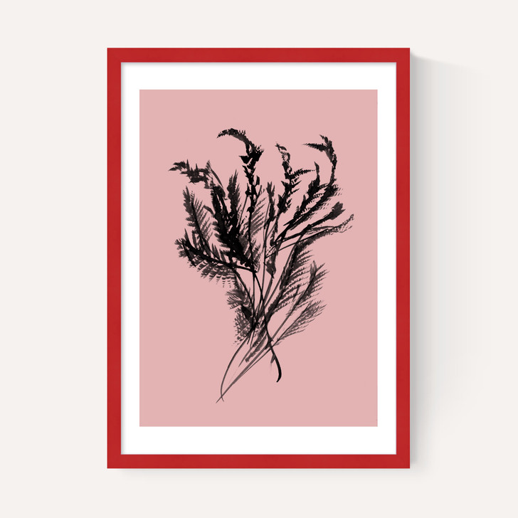 Mono Botanical 2