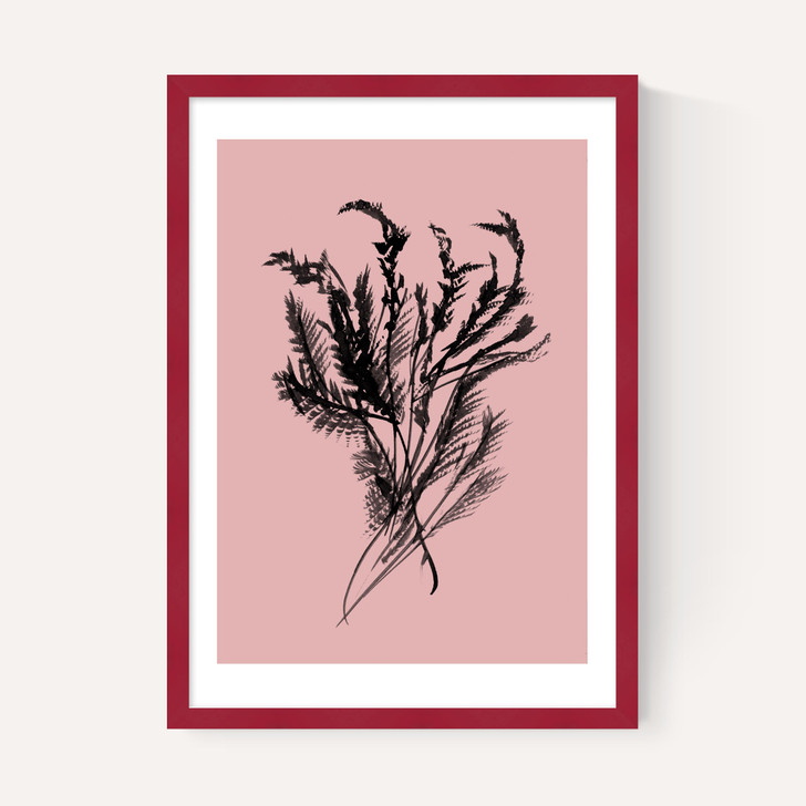 Mono Botanical 2