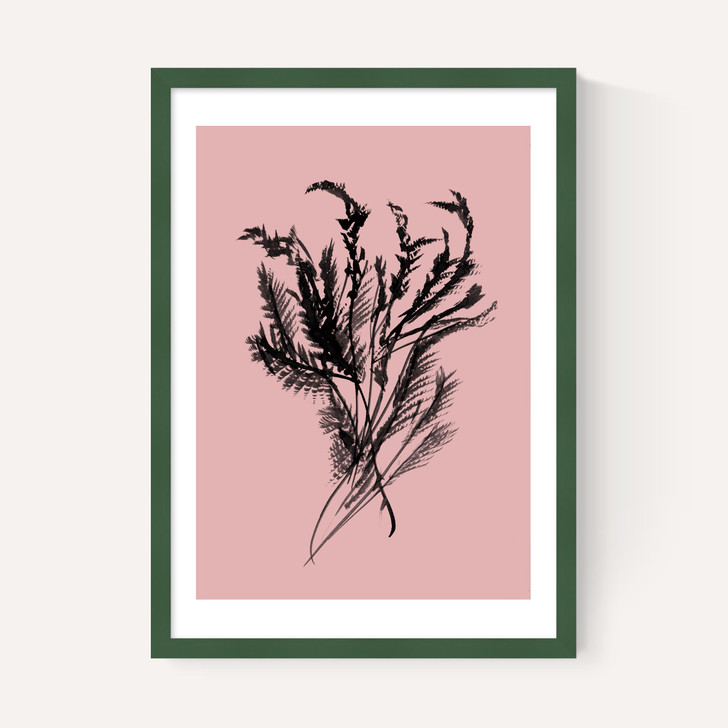 Mono Botanical 2