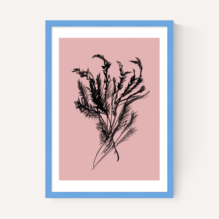 Mono Botanical 2