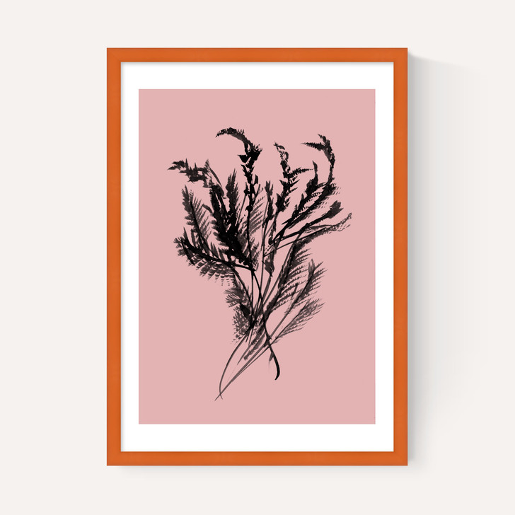 Mono Botanical 2