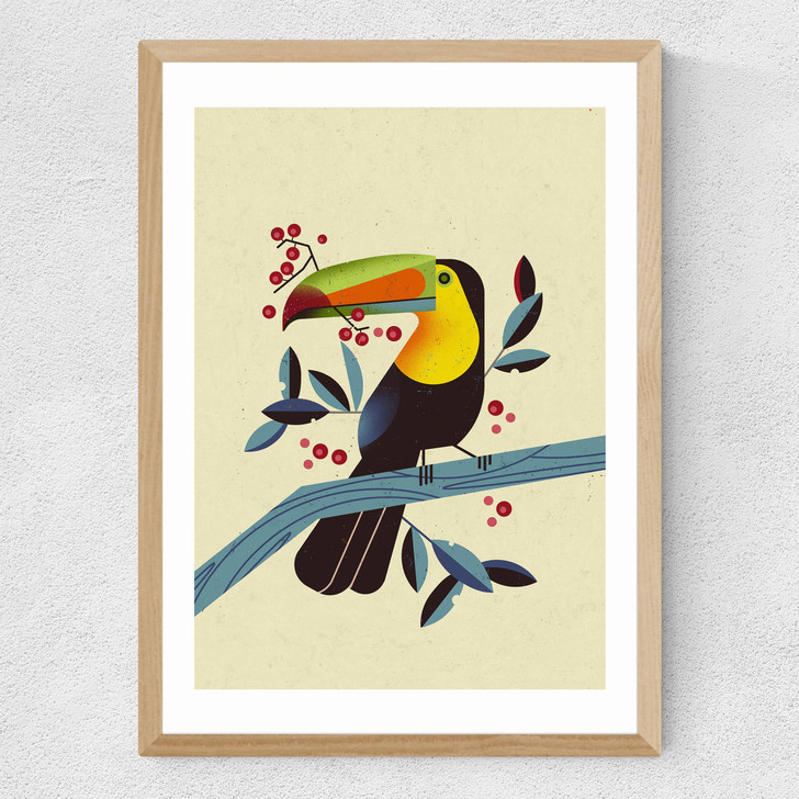 Toucan 2 by Dieter Braun Medium Oak Frame Toucan 2 by Dieter Braun Medium Oak Frame