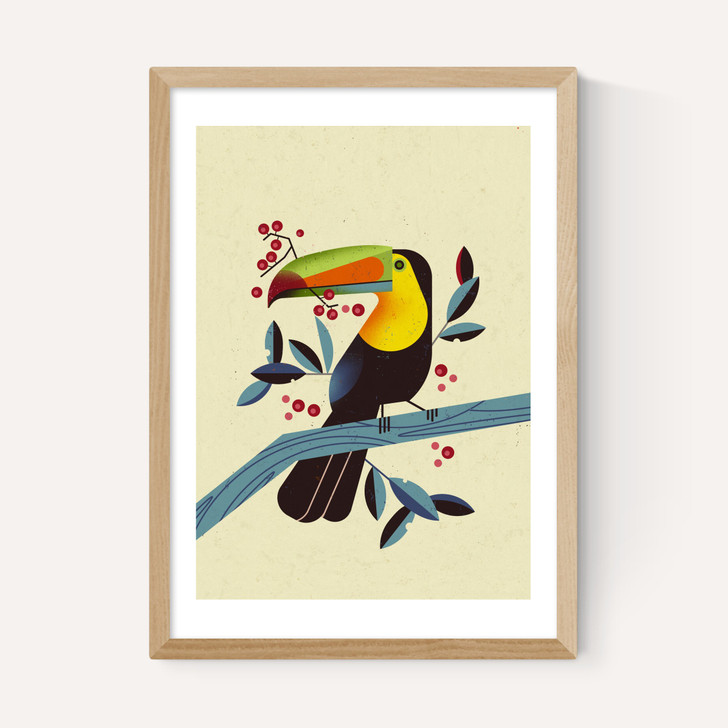 Toucan 2 by Dieter Braun