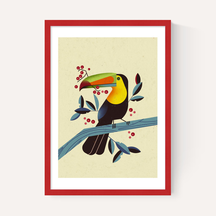 Toucan 2 by Dieter Braun