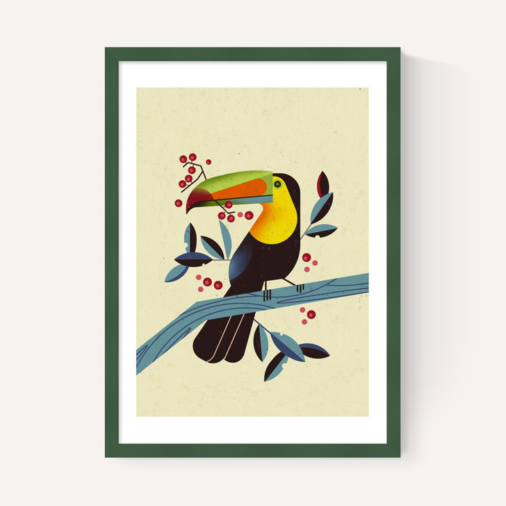 Toucan 2 by Dieter Braun