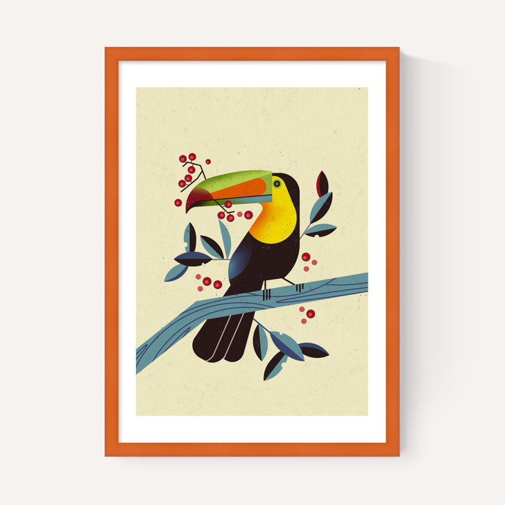 Toucan 2 by Dieter Braun