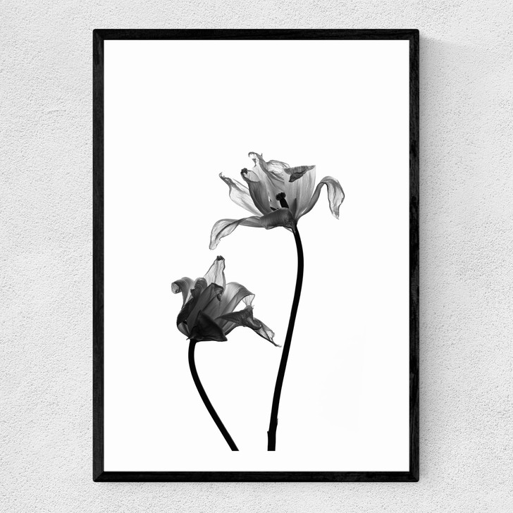 Iris by Honeymoon Hotel Narrow Black Frame Iris by Honeymoon Hotel Narrow Black Frame