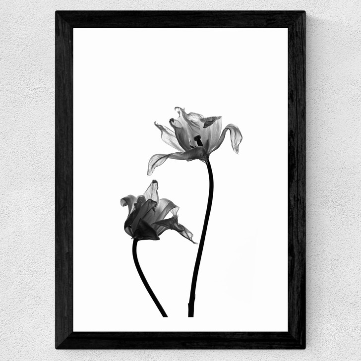 Iris by Honeymoon Hotel Wide Black Frame Iris by Honeymoon Hotel Wide Black Frame