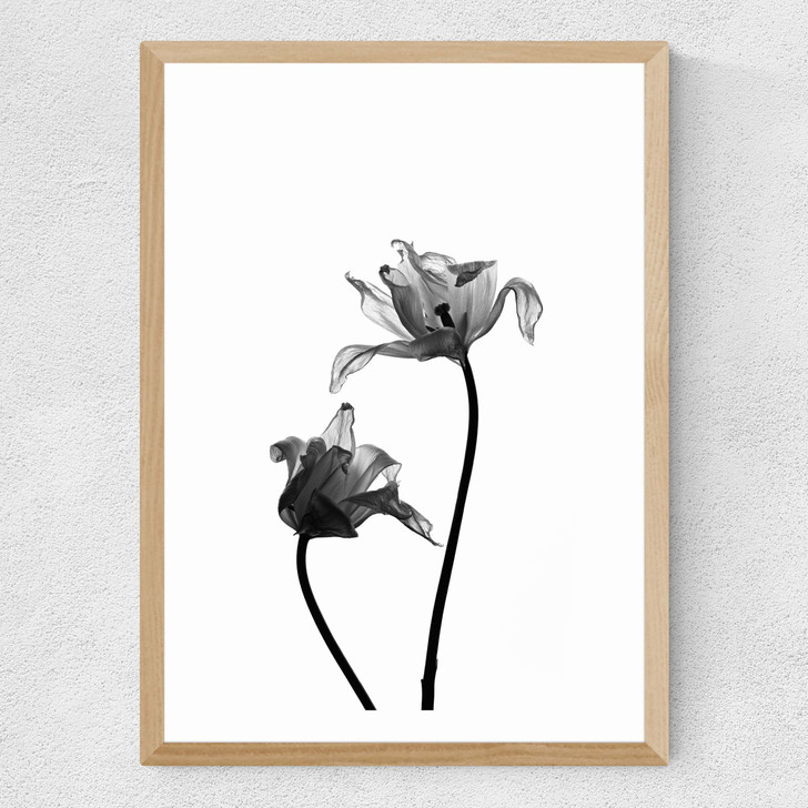 Iris by Honeymoon Hotel Medium Oak Frame Iris by Honeymoon Hotel Medium Oak Frame