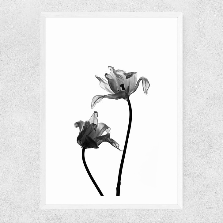 Iris by Honeymoon Hotel Narrow White Frame Iris by Honeymoon Hotel Narrow White Frame