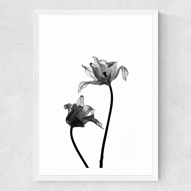Iris by Honeymoon Hotel Medium White Frame Iris by Honeymoon Hotel Medium White Frame