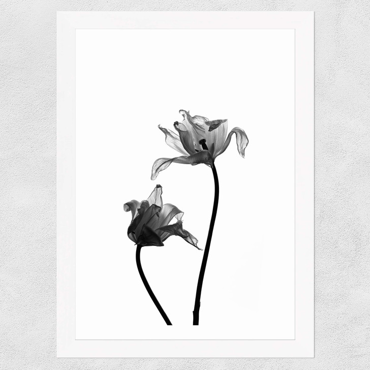 Iris by Honeymoon Hotel Wide White Frame Iris by Honeymoon Hotel Wide White Frame