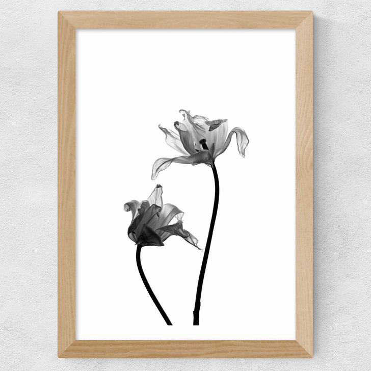Iris by Honeymoon Hotel