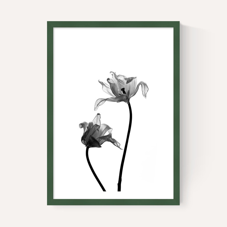 Iris by Honeymoon Hotel