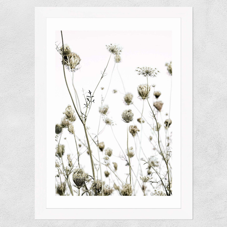 Flutterby Wide White Frame