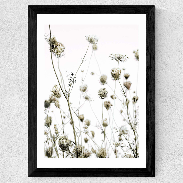 Flutterby Wide Black Frame