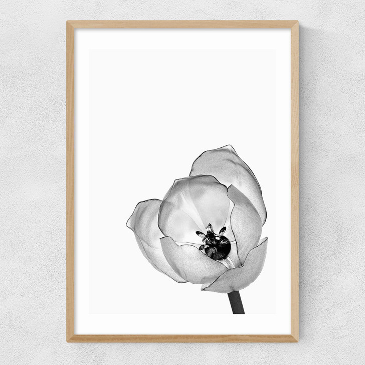 Delicate Poppy Narrow Oak Frame