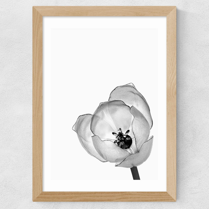 Delicate Poppy Wide Oak Frame