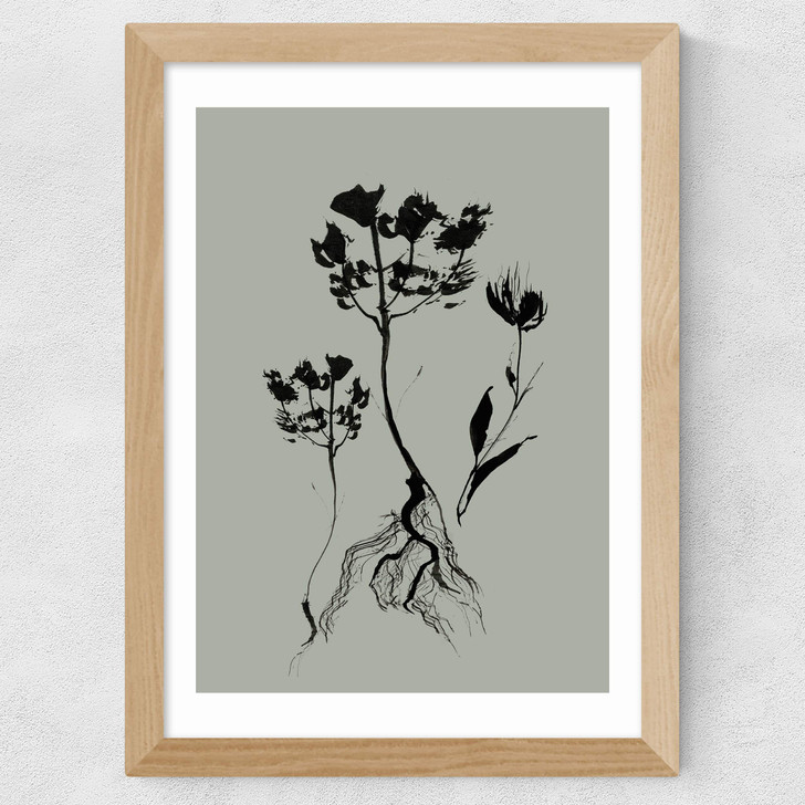 Mono Botanical 6 Wide Oak Frame