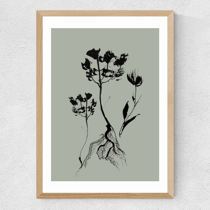 Mono Botanical 6 Medium Oak Frame