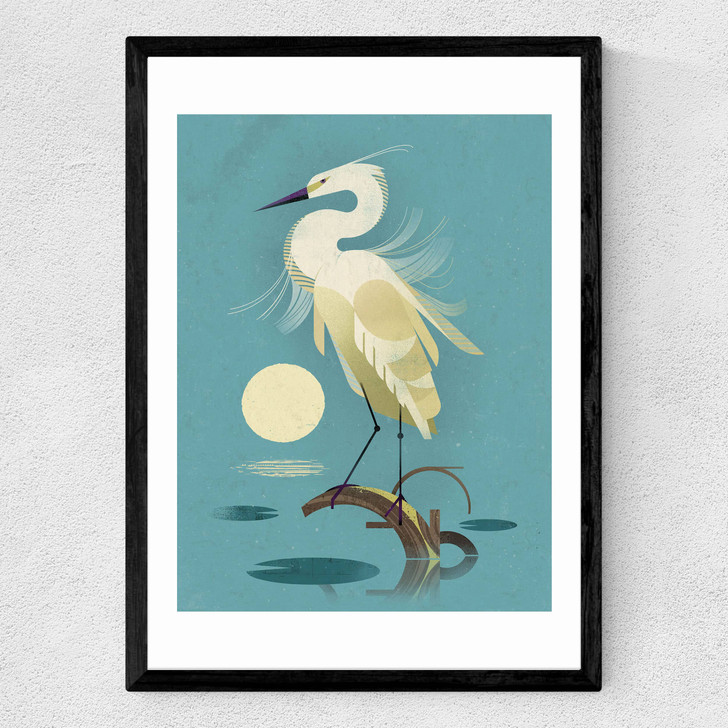 Little Egret by Dieter Braun Medium Black Frame