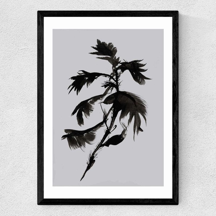 Mono Botanical 10 Medium Black Frame Mono Botanical 10 Medium Black Frame