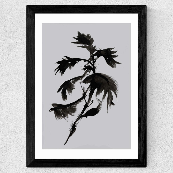 Mono Botanical 10 Wide Black Frame Mono Botanical 10 Wide Black Frame