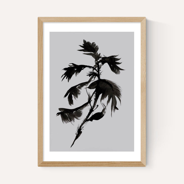 Mono Botanical 10