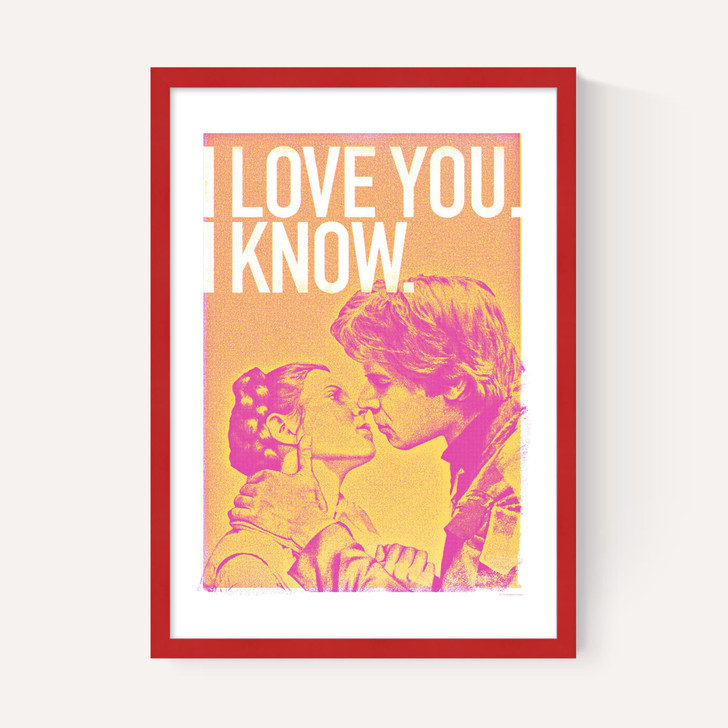 Han and Leia - Star Wars