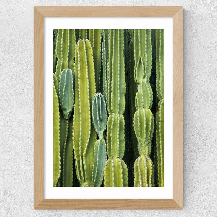Druid's Cactus Wide Oak Frame Druid's Cactus Wide Oak Frame