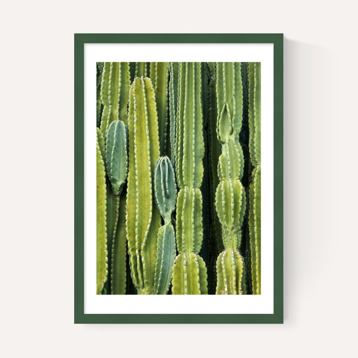 Druid's Cactus