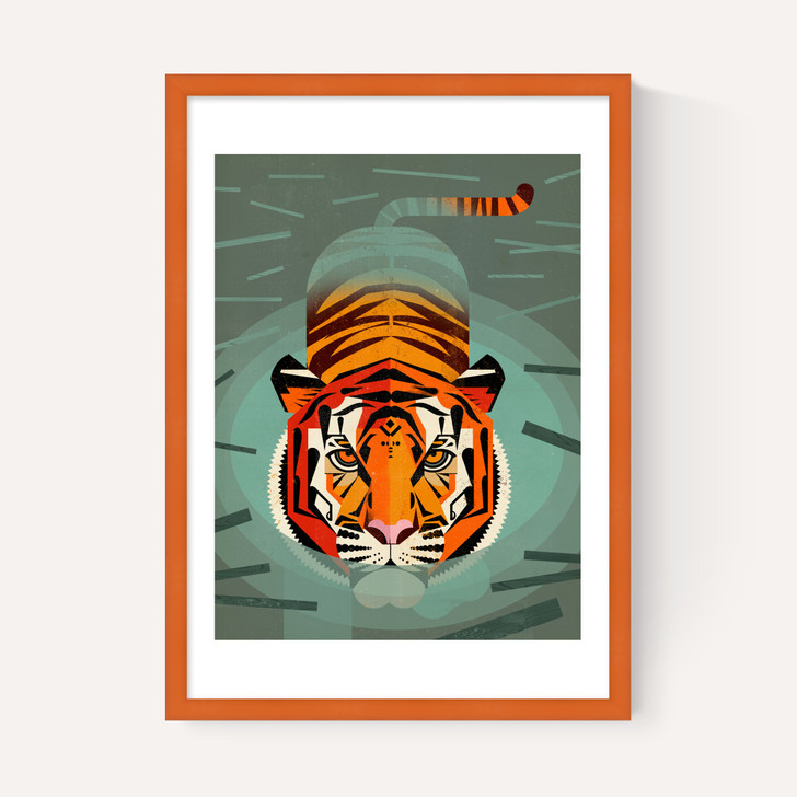 Swimming Tiger