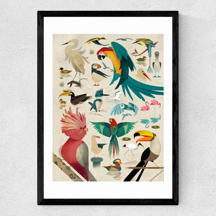 Birds by Dieter Braun Medium Black Frame