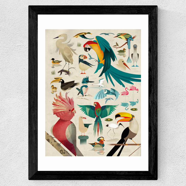 Birds by Dieter Braun Wide Black Frame