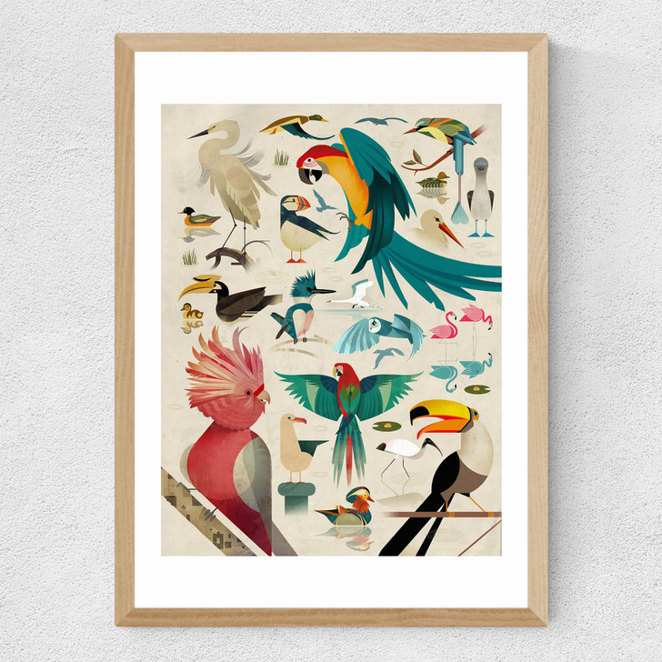 Birds by Dieter Braun Medium Oak Frame