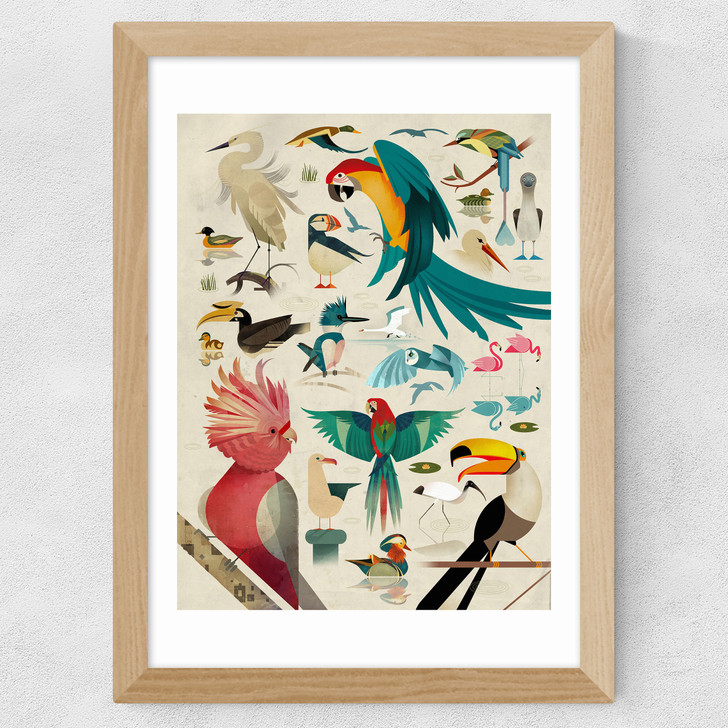 Birds by Dieter Braun Wide Oak Frame