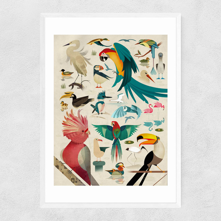 Birds by Dieter Braun Narrow White Frame
