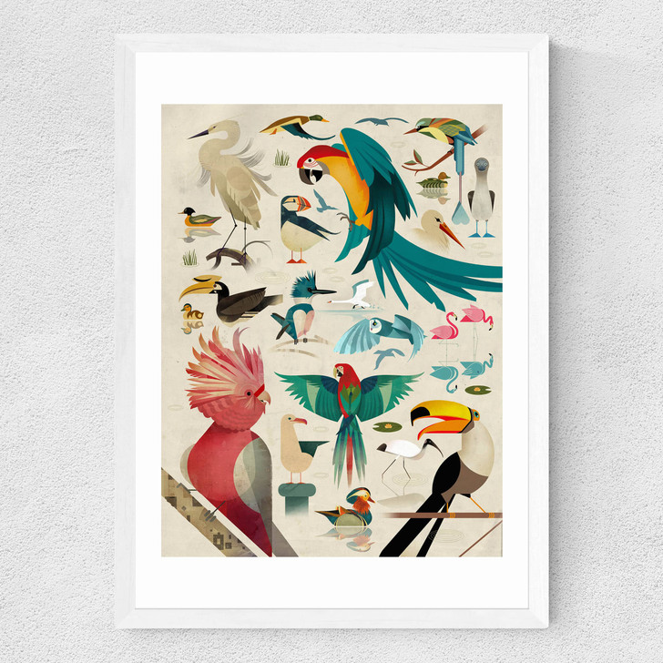Birds by Dieter Braun Medium White Frame