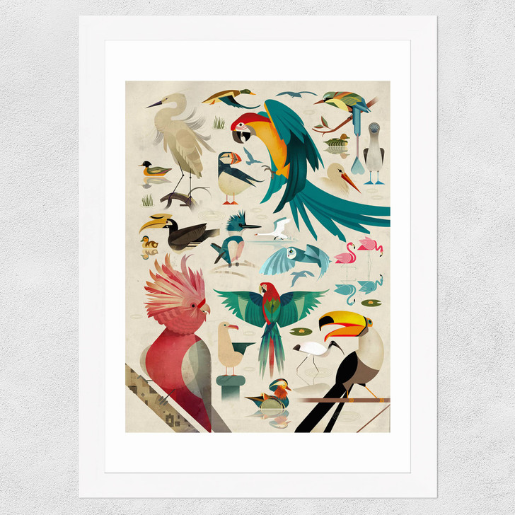 Birds by Dieter Braun Wide White Frame