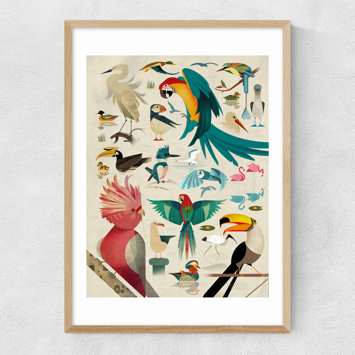 Birds by Dieter Braun Narrow Oak Frame
