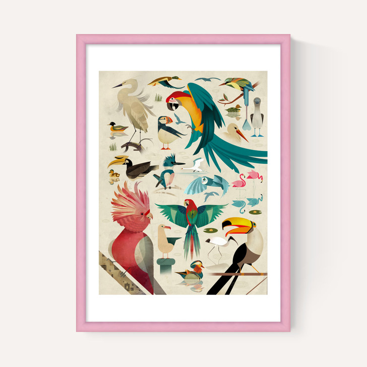 Birds by Dieter Braun