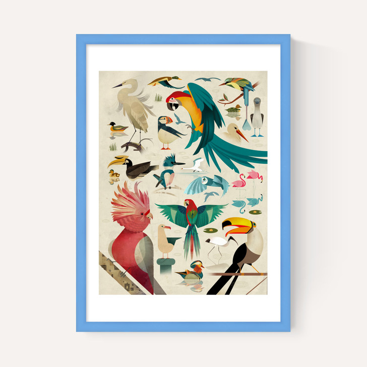 Birds by Dieter Braun
