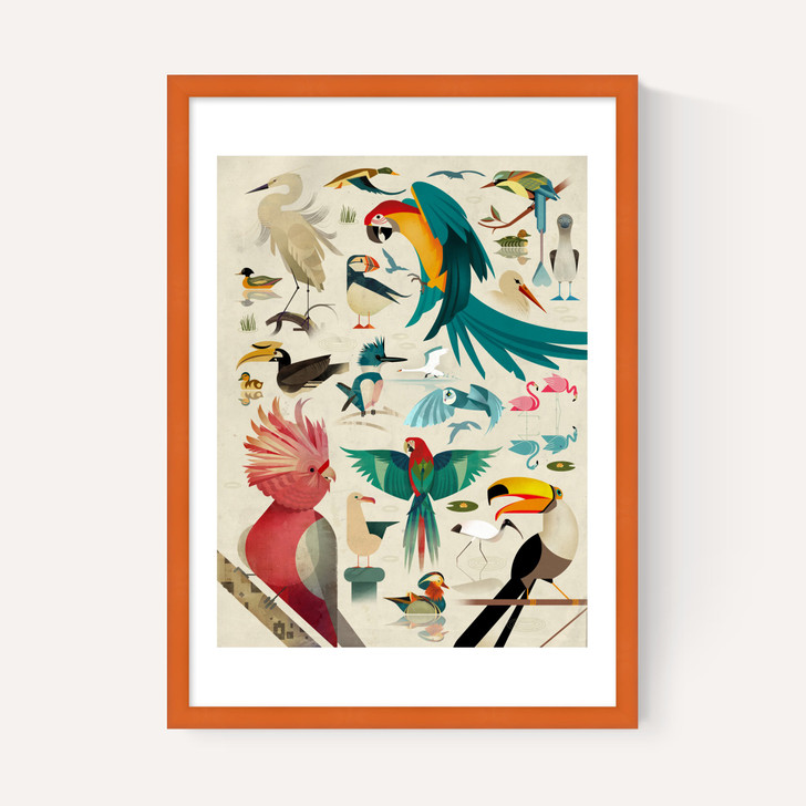 Birds by Dieter Braun
