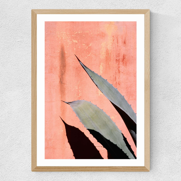 Peach Cactus Medium Oak Frame Peach Cactus Medium Oak Frame