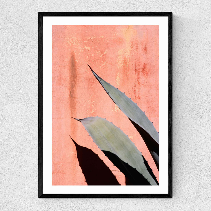 Peach Cactus Narrow Black Frame