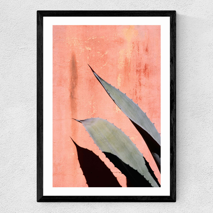 Peach Cactus Medium Black Frame