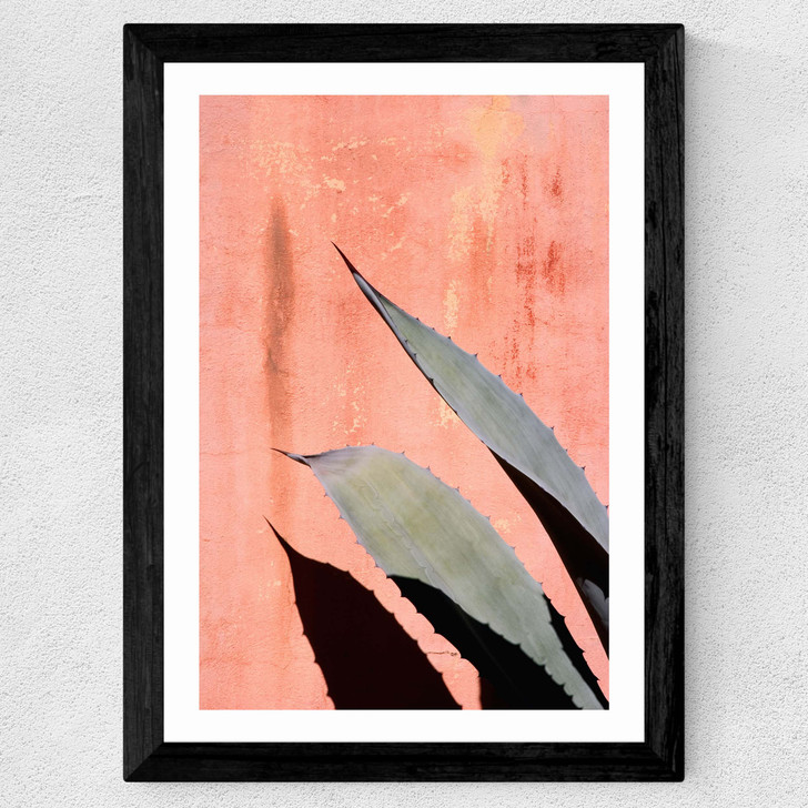 Peach Cactus Wide Black Frame