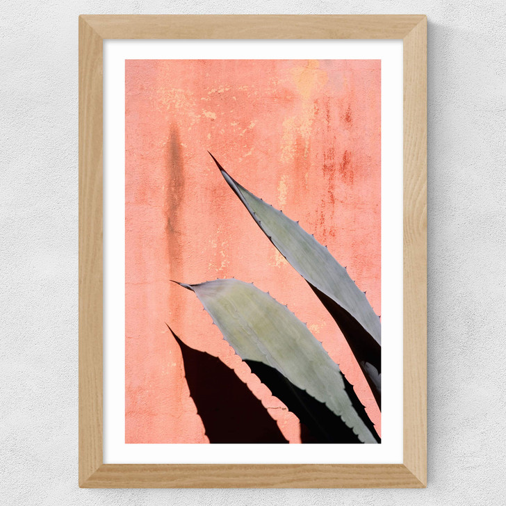Peach Cactus Wide Oak Frame