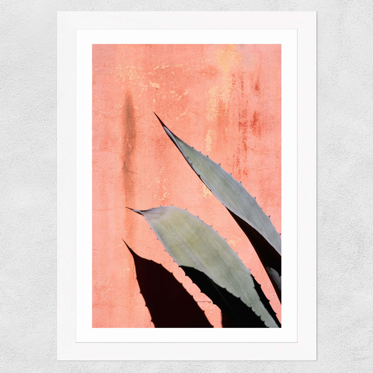 Peach Cactus Wide White Frame