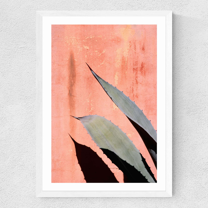 Peach Cactus Medium White Frame